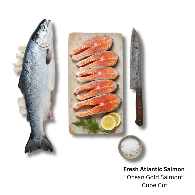 Fresh Atlantic Salmon  'Ocean Gold Salmon' (Stake cut)