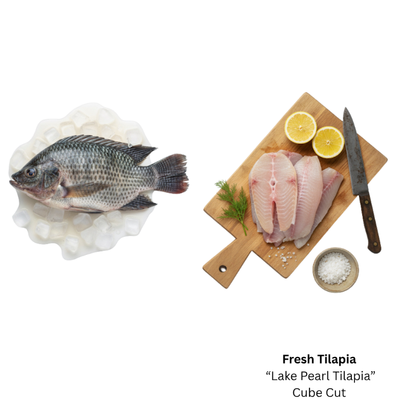 Fresh Tilapia  'Lake Pearl Tilapia' (Steak Cut)