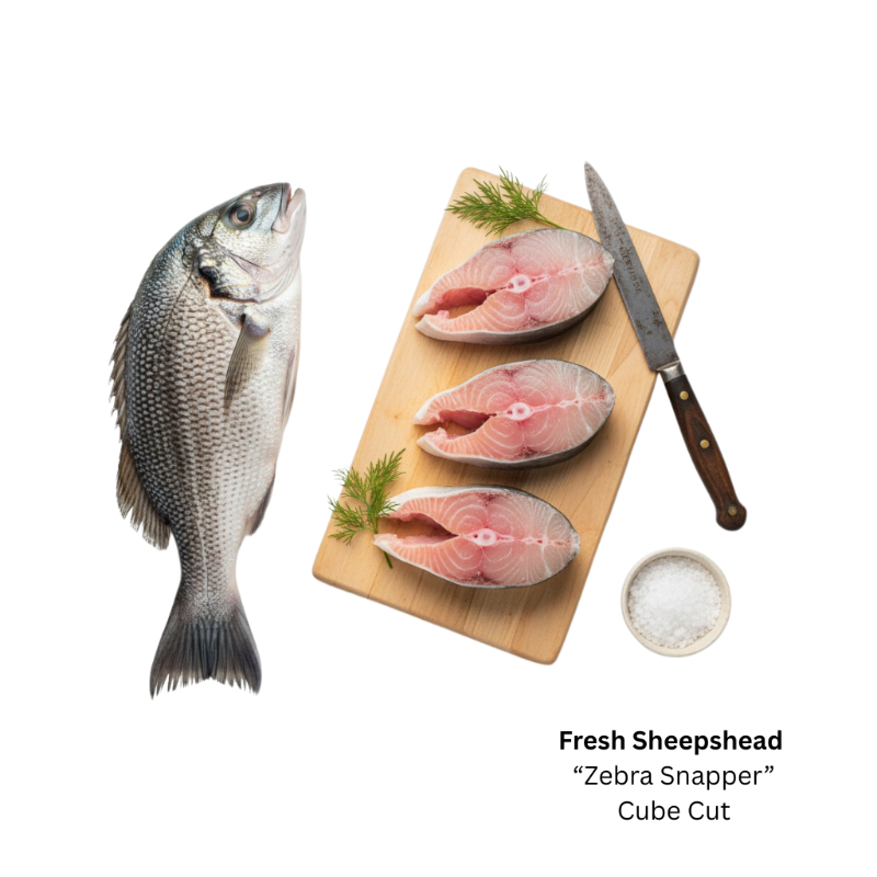 Fresh Sheepshead  'Zebra Snapper' (Steak Cut)