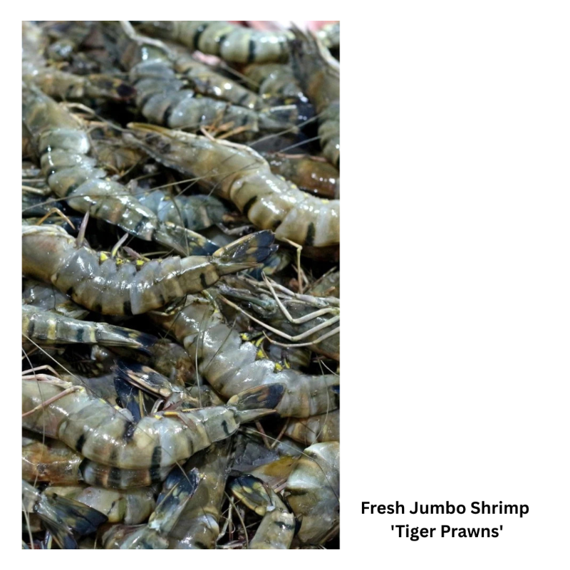 Fresh Jumbo Shrimp  'Tiger Prawns'-Whole Fish