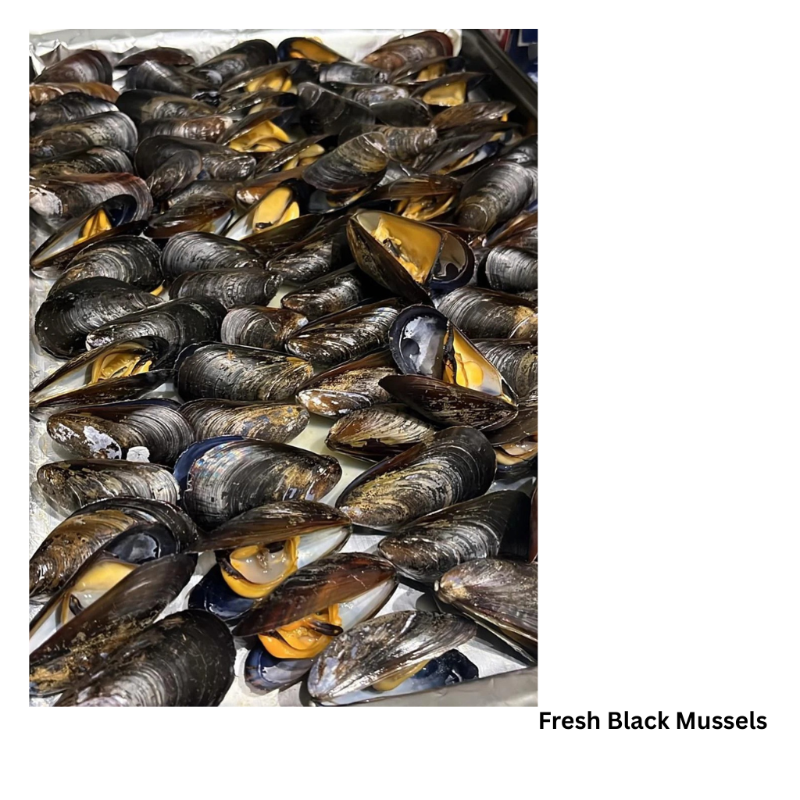 Fresh Black Mussels-Whole Fish