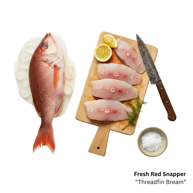 Fresh Red Snapper  'Threadfin Bream' (Steak Cut)