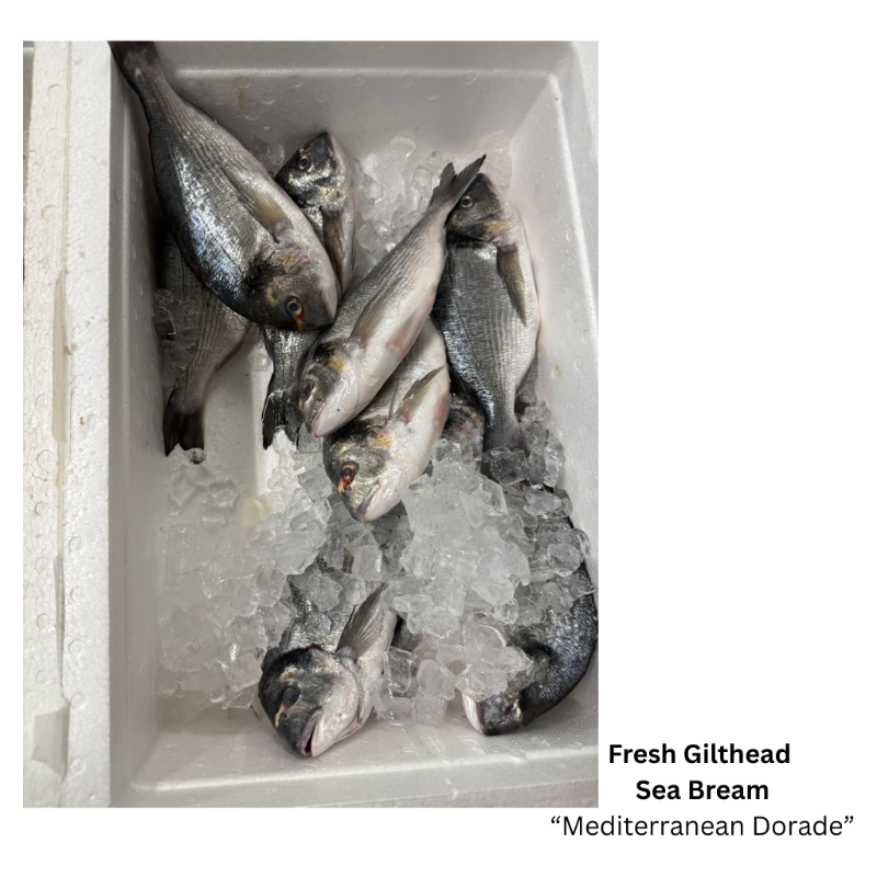 Fresh Gilthead Sea Bream  'Mediterranean Dorade' (Steak Cut)
