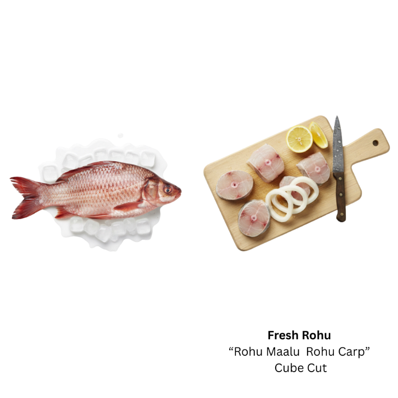 Fresh Rohu  'Rohu Carp' (Steak Cut)