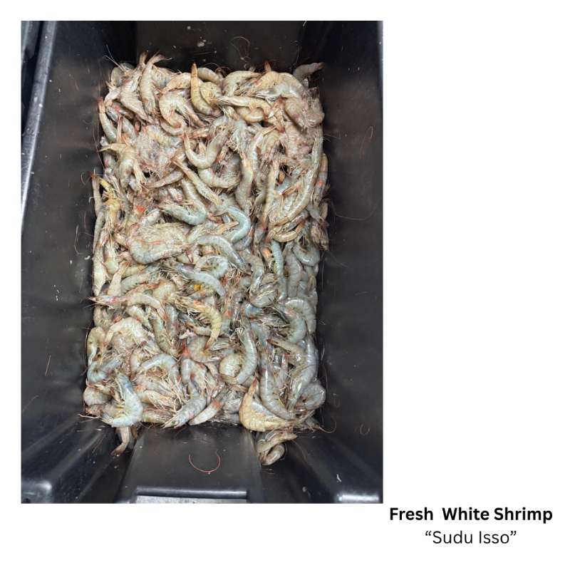 Fresh White Shrimp -Whole Fish