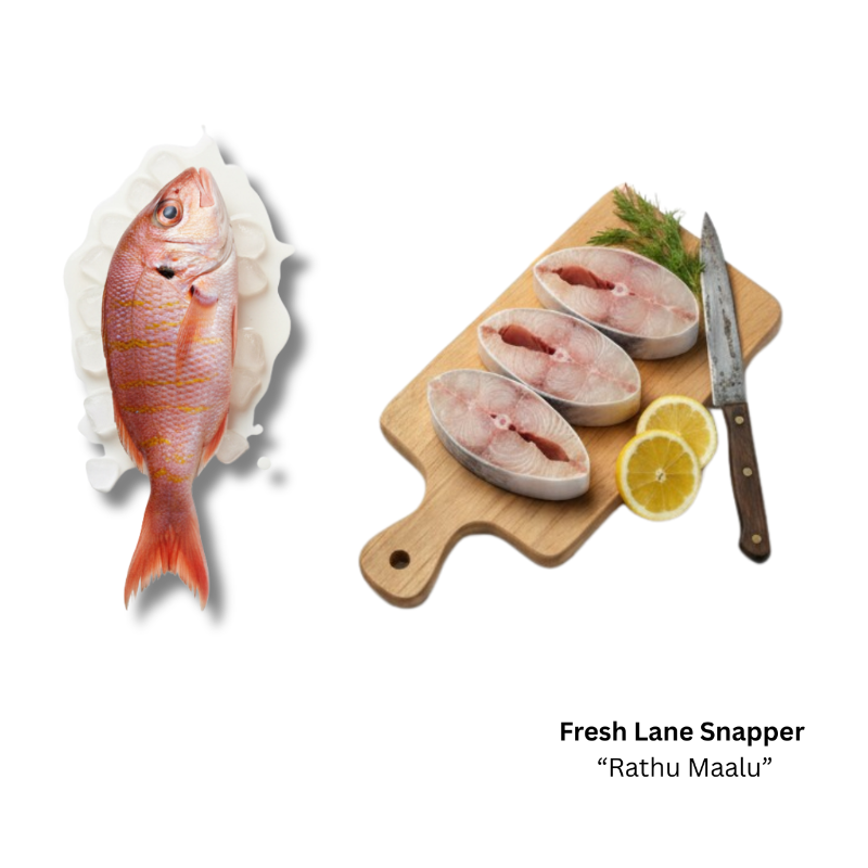 Fresh Lane Snapper  (Steak Cut)