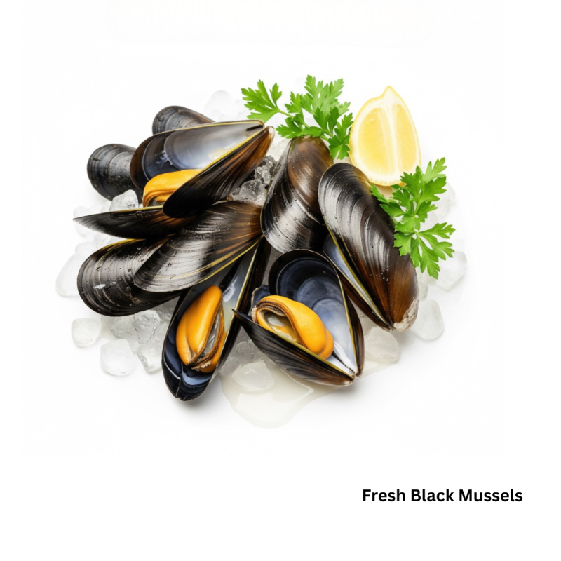 Fresh Black Mussels-Whole Fish