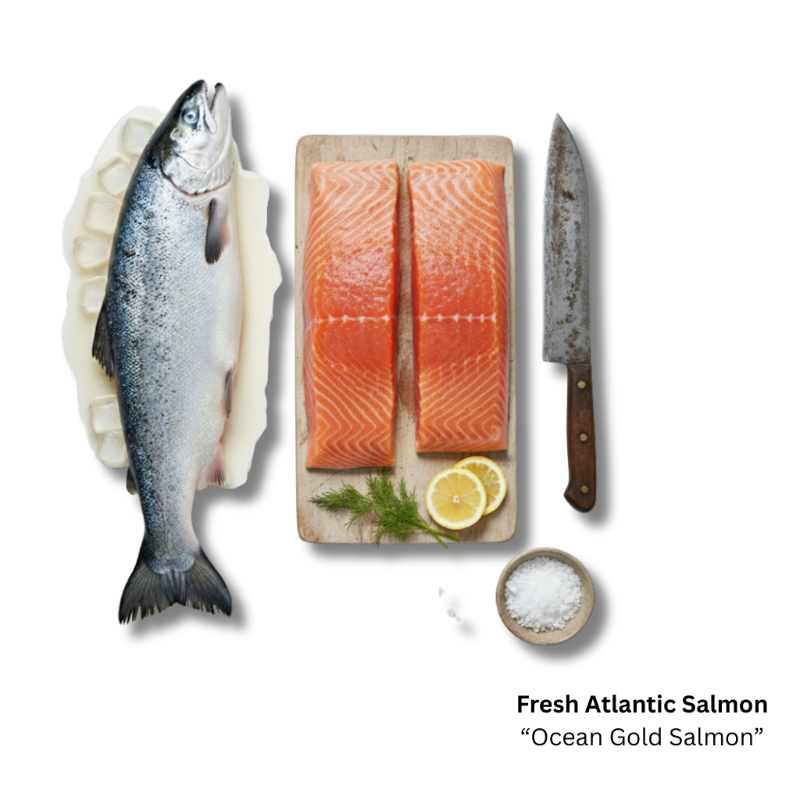 Fresh Atlantic Salmon  'Ocean Gold Salmon' (Steak Cut)