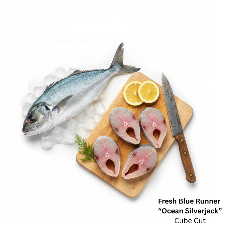 Fresh Blue Runner  'Ocean Silverjack' (Steak Cut)