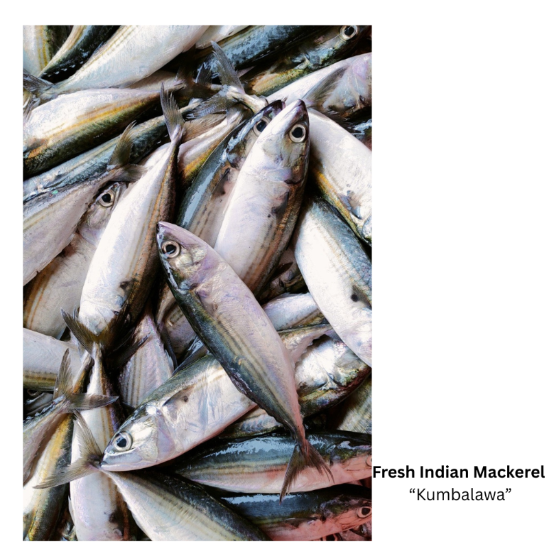 Fresh Indian Mackerel (Steak Cut)