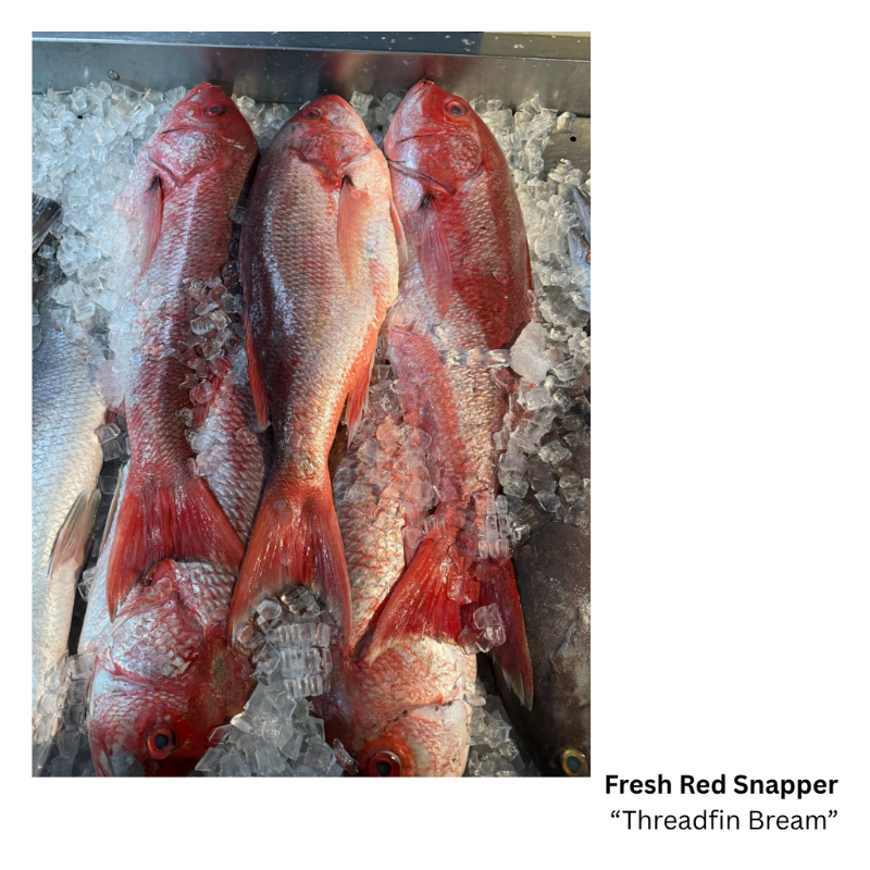 Fresh Red Snapper  'Threadfin Bream' (Steak Cut)