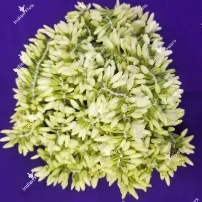 Mullali String