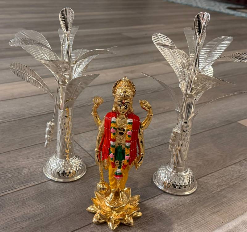 Lakshmi Devi with Silver Ariti chettu combo