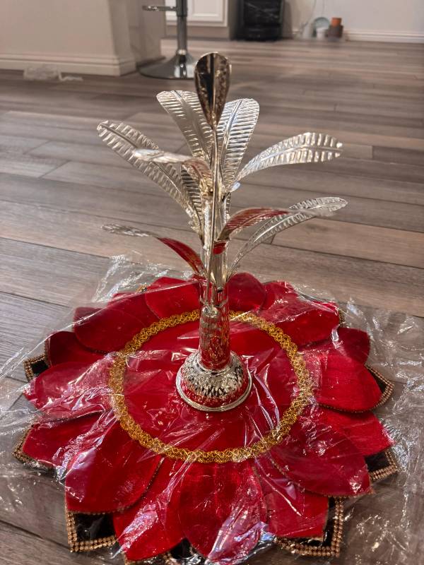 Silver Ariti chettu(plant) single piece