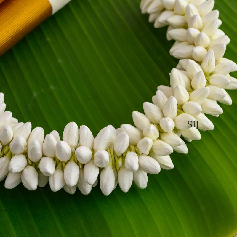 Jasmine String