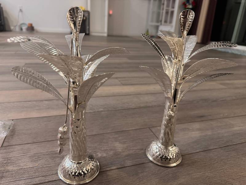 Silver Ariti chettu(plant) double piece