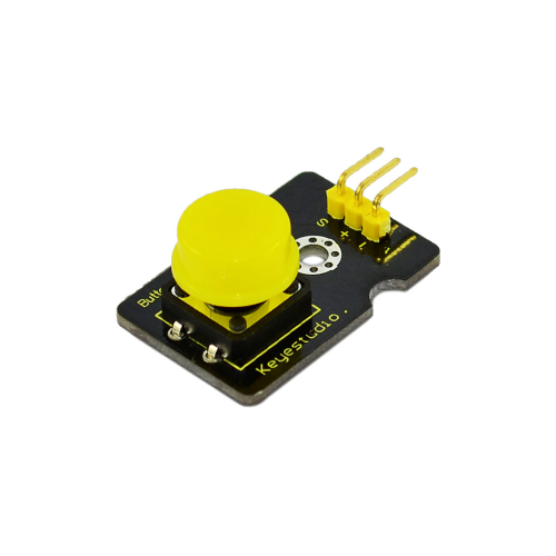 Digital Push Button Module