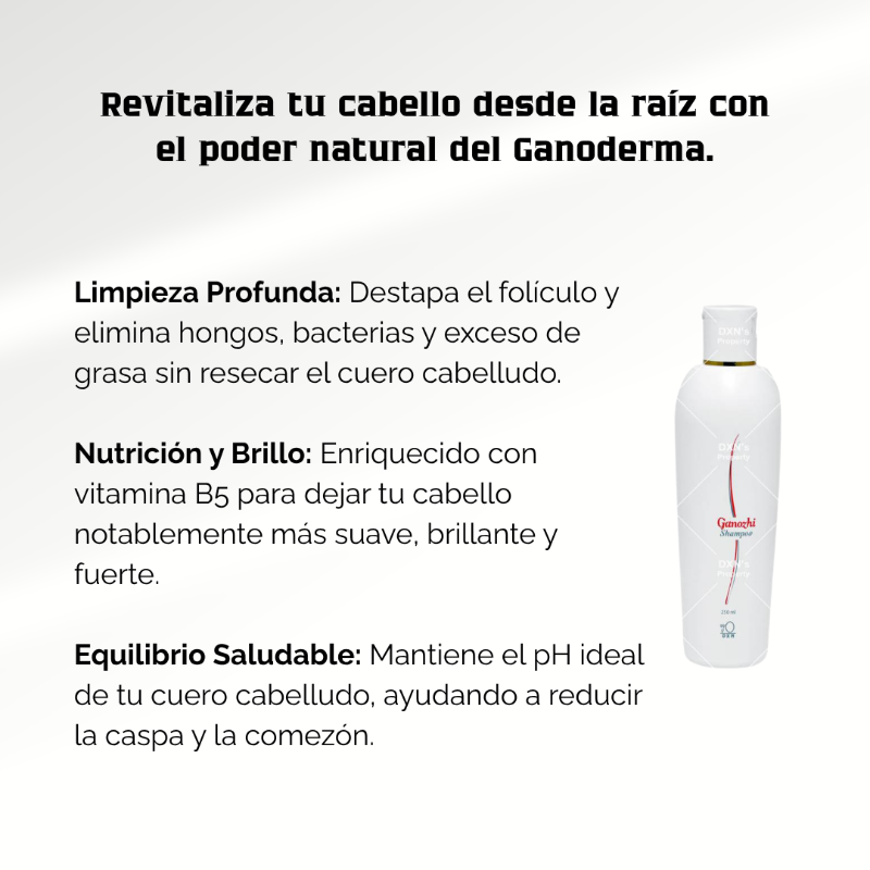 Shampoo Ganozhi