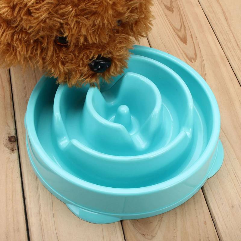 Comedor para mascota Slow Eating Pet Bowl