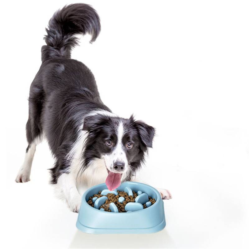 Comedor para mascota Slow Eating Pet Bowl