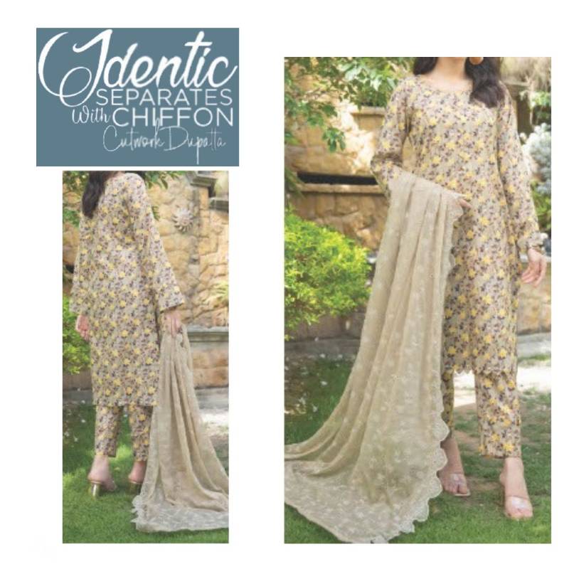 Identic Chiffon Cutwork Dupatta (1364-001) Regalia
