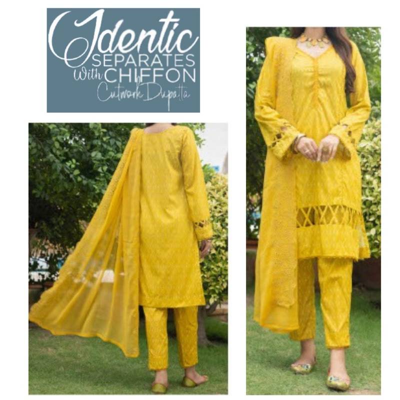Identic Chiffon Cutwork Dupatta (1364-005) Regalia