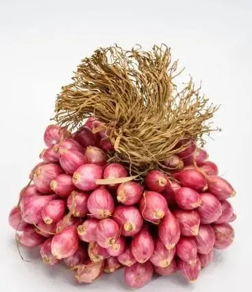 Shallots (Small Onions)