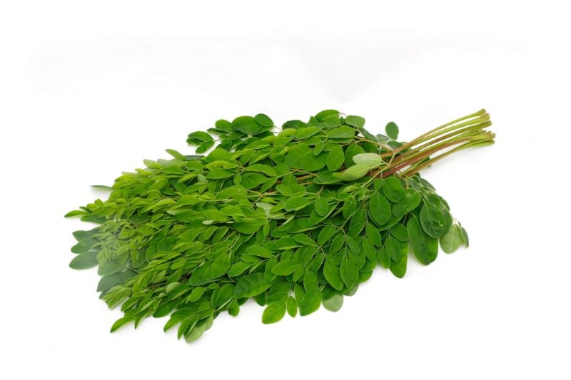 Drumstick Leaves Bunch