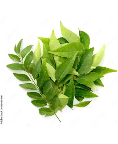 Curry Leaves
