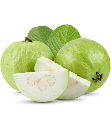 White Guava (Peraikka)