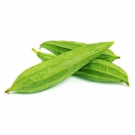 Ridge Gourd
