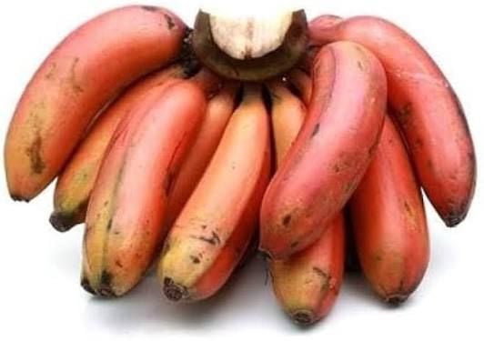 Red Banana (Chenkathali)