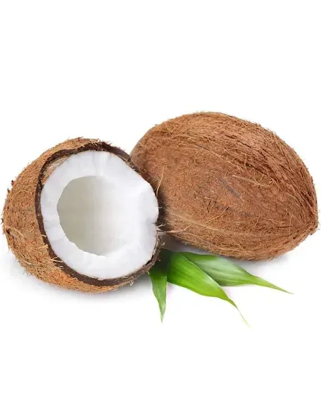 Whole Coconut (single)