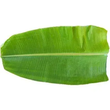 Banana Leaves (Single)
