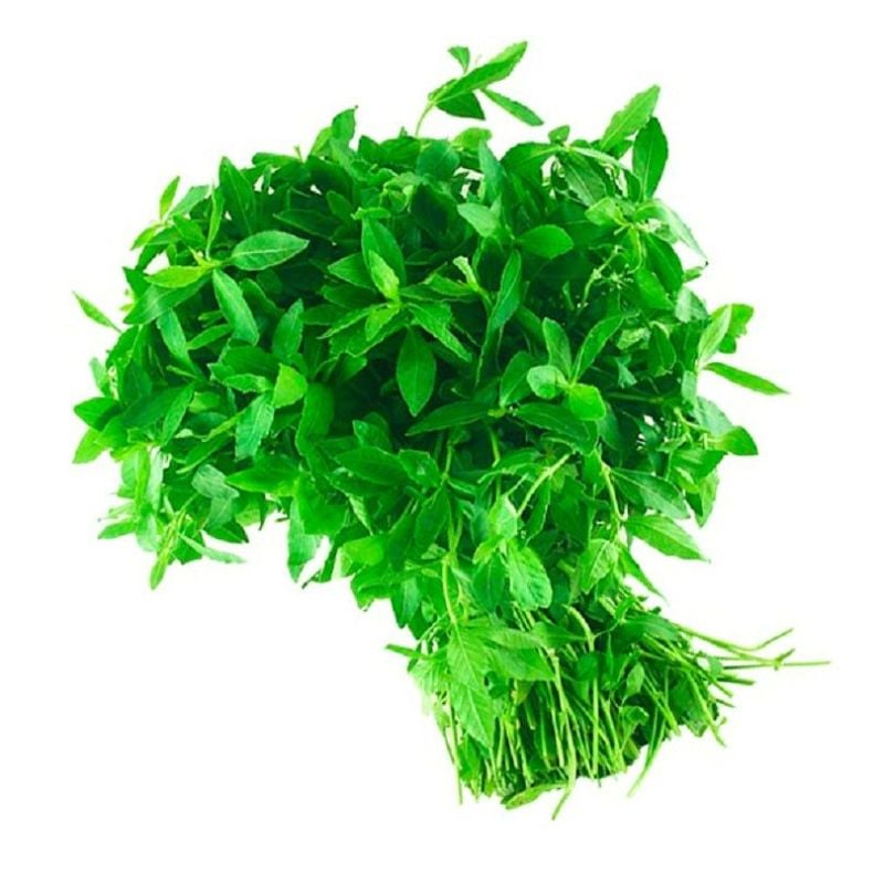 Ponnanganni Leaves Bunch