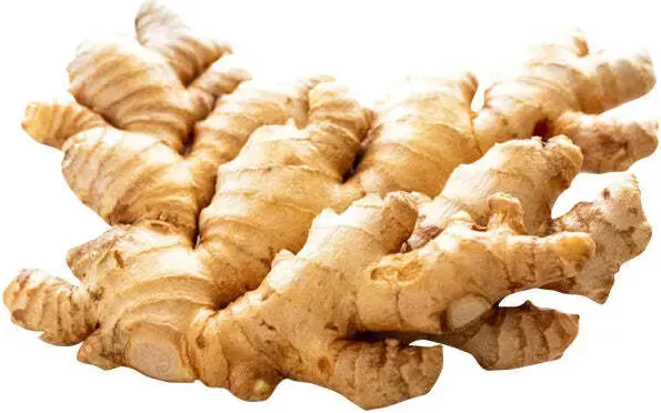 Small Ginger / Indian
