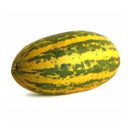 Indian Cucumber (Vellarikka)