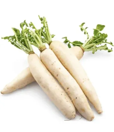 White Raddish