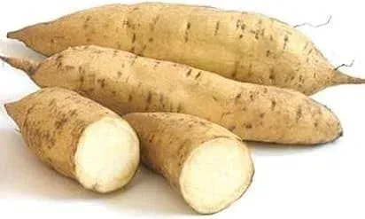 White Sweet Potato