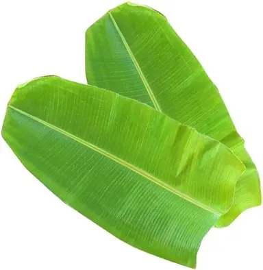 Banana Leaves (Single)