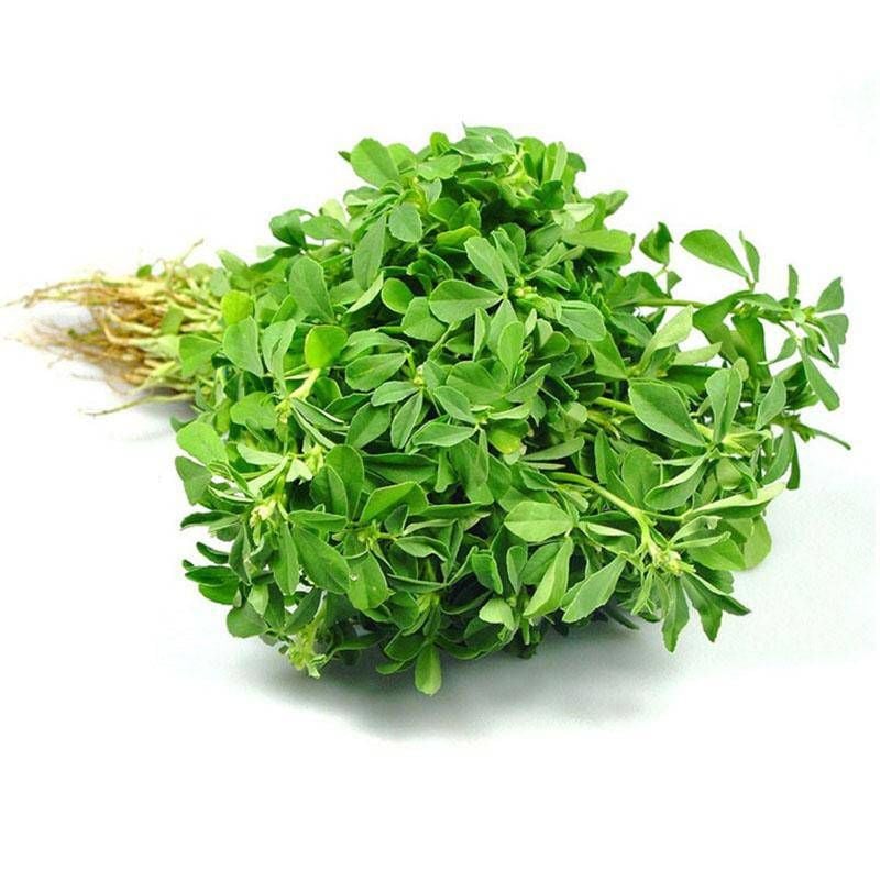 Methi Leaves Bunch