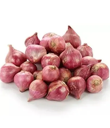 Shallots (Small Onions)