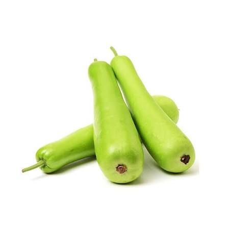 Bottle Gourd