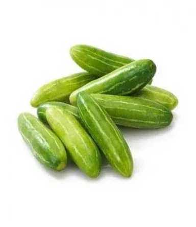 Ivy Gourd