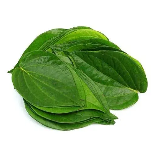 Beetle Leaves