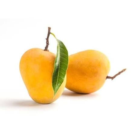 Alphonso Mango