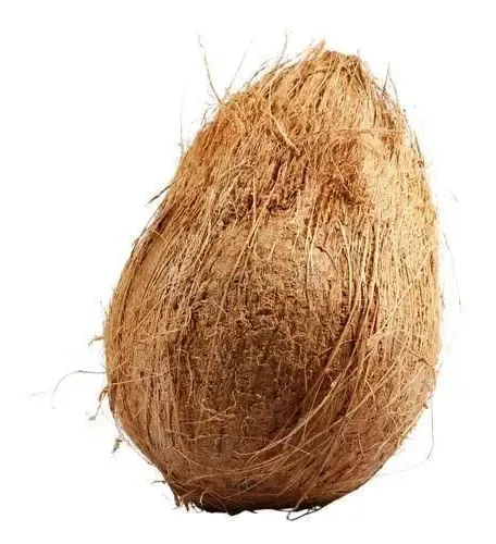 Whole Coconut (single)