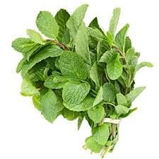 Mint Leaves Bunch