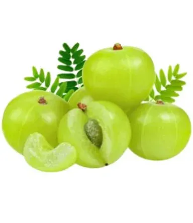 Gooseberry (Amla)