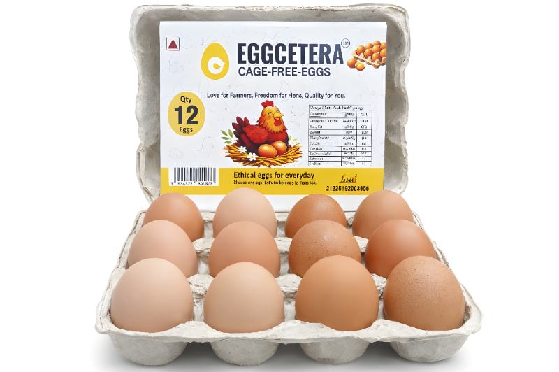 Cage Free Eggs - Pack of 12